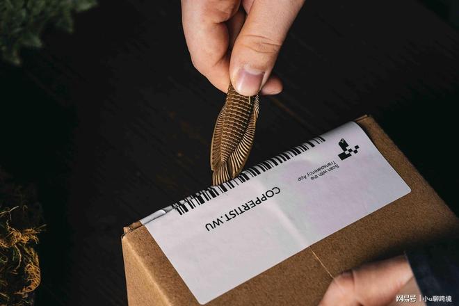 趣用品独立站给你更大的自由空间冰球突破网站平台管控太严？情(图2)